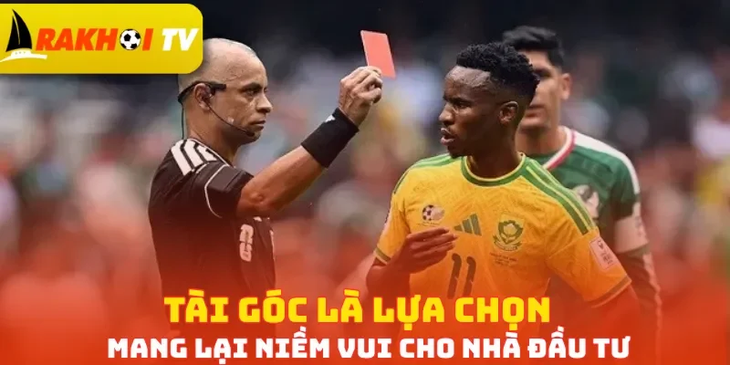 Tài góc là lựa chọn mang lại niềm vui cho nhà đầu tư