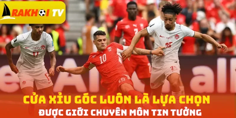 Cửa Xỉu góc luôn là lựa chọn được giới chuyên môn tin tưởng