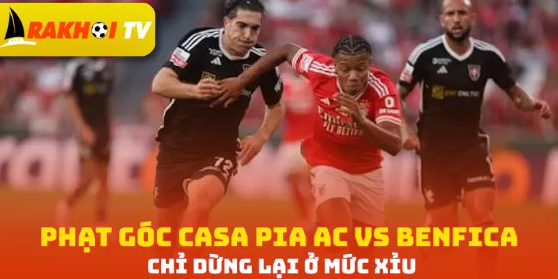 Phạt góc Casa Pia AC vs Benfica chỉ dừng lại ở mức Xỉu